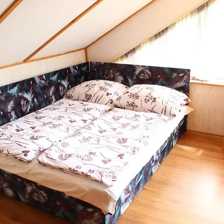 Vicze Vendeghaz * Siofok