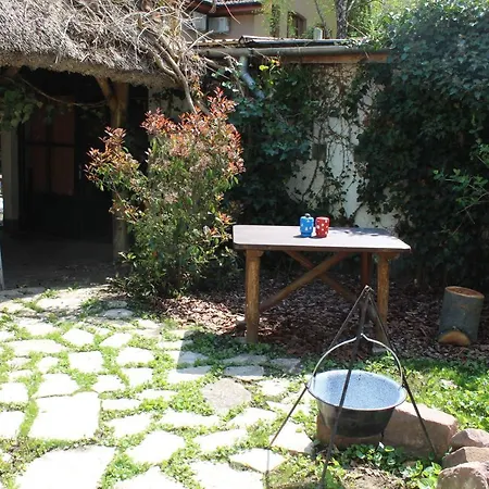 Apartment Vicze Vendeghaz