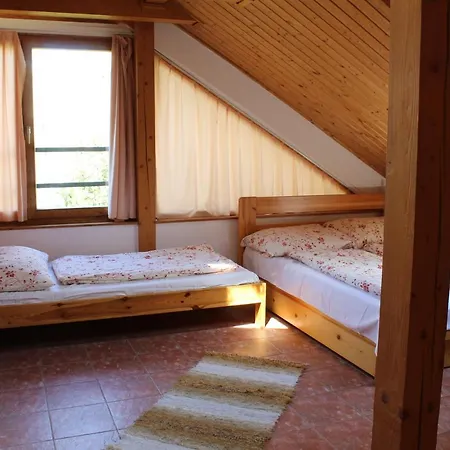 Apartment Vicze Vendeghaz Siofok