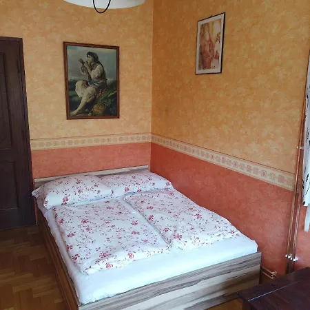 Vicze Vendeghaz Siofok