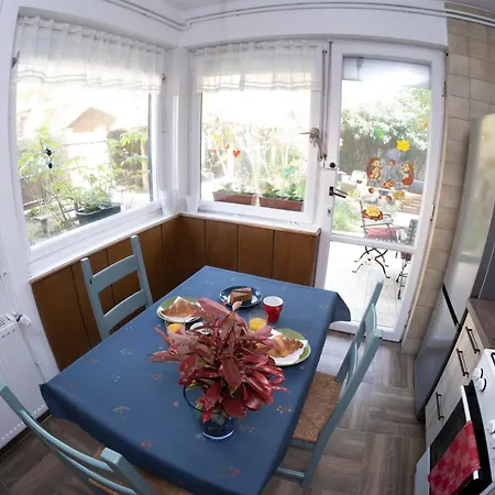 Vicze Vendeghaz Siofok