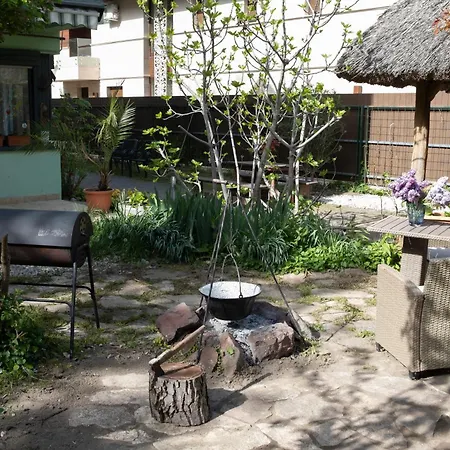 Vicze Vendeghaz Siofok