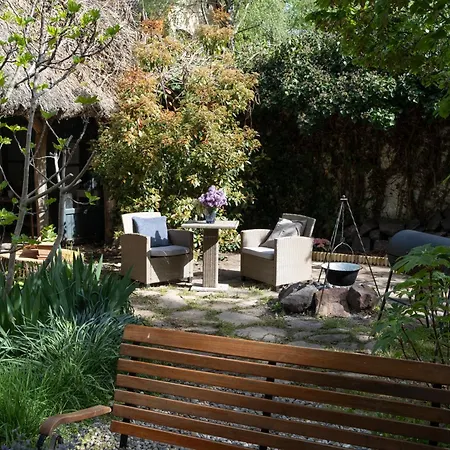 Vicze Vendeghaz * Siófok