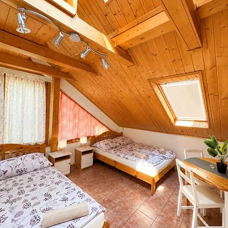 Apartmán Vicze Vendeghaz *