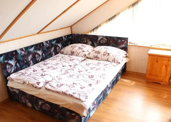 Vicze Vendeghaz * Siófok