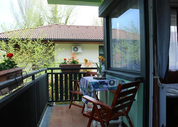 Vicze Vendeghaz Apartment