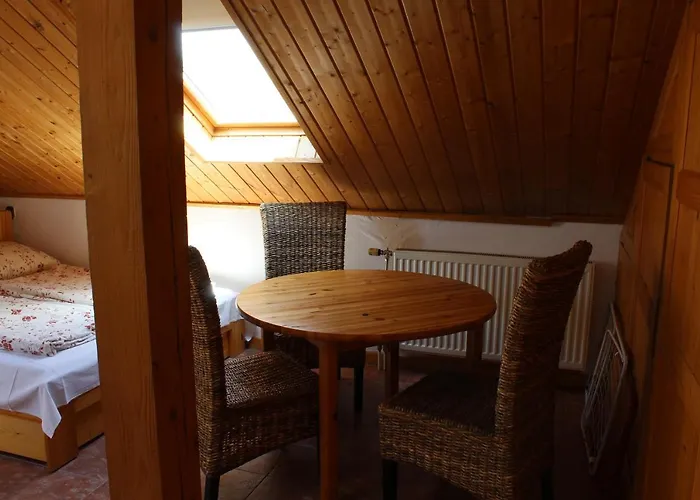 Vicze Vendeghaz Apartment