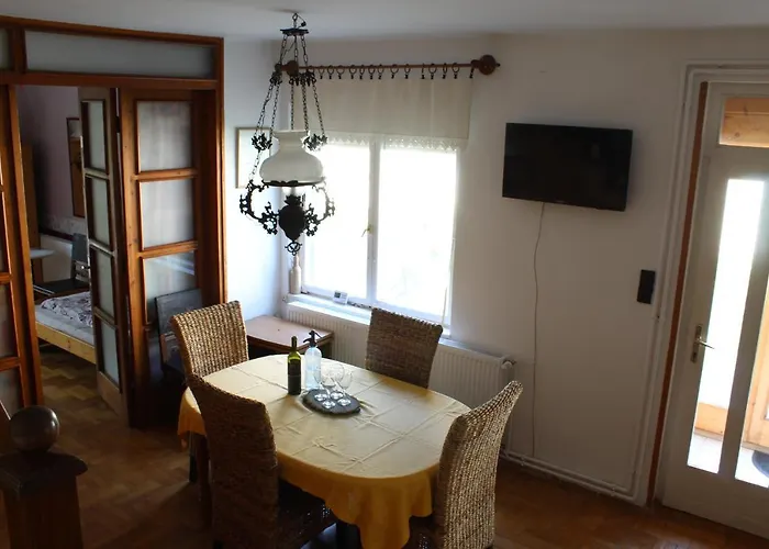 Vicze Vendeghaz Apartment *